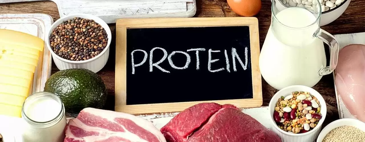 High Quality Protein